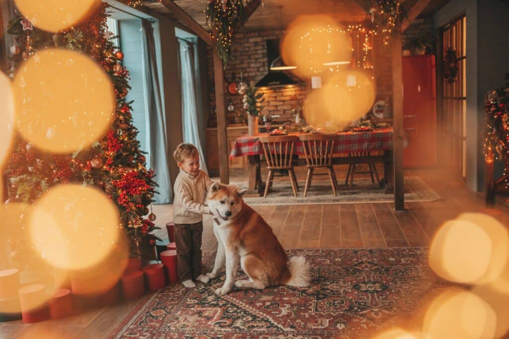 Candid authentic happy little boy in knitted beige sweater hugs dog with bow tie at home on Xmas