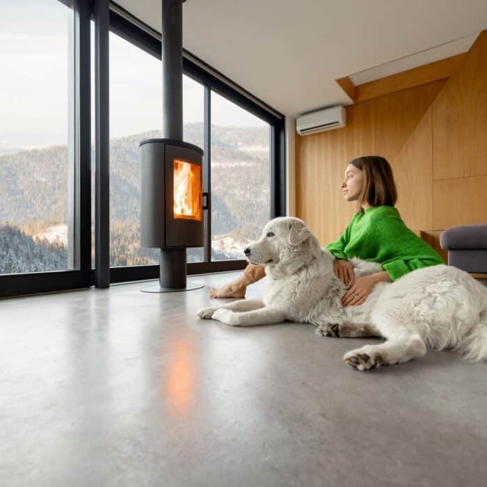 Woman with dog at house on the mountains in winter